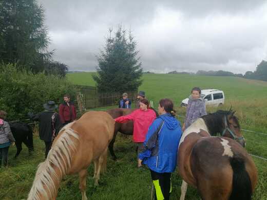 Výpomoc na farmě.jpeg