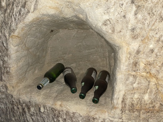 Nika na vino obyvana zatim pivem.JPEG